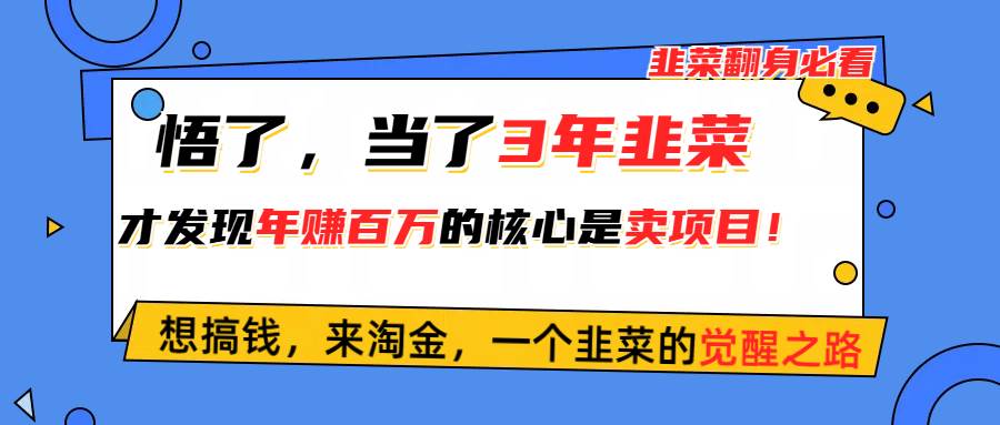悟了，当了3年韭菜，才发现网赚圈年赚100万的核心是卖项目，含泪分享！-自荐云信息速递