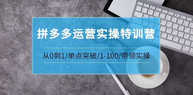 拼多多运营实操特训营：从0到1/单点突破/1-100/带领实操 价值2980元-自荐云信息速递
