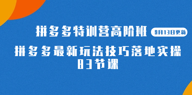 2023拼多多·特训营高阶班【9月13日更新】拼多多最新玩法技巧落地实操-83节-自荐云信息速递