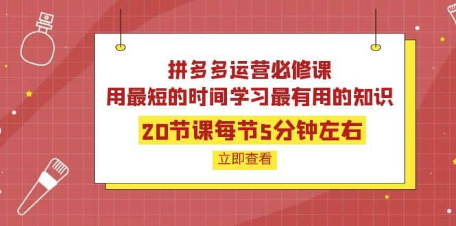 拼多多运营必修课：20节课每节5分钟左右，用最短的时间学习最有用的知识-自荐云信息速递