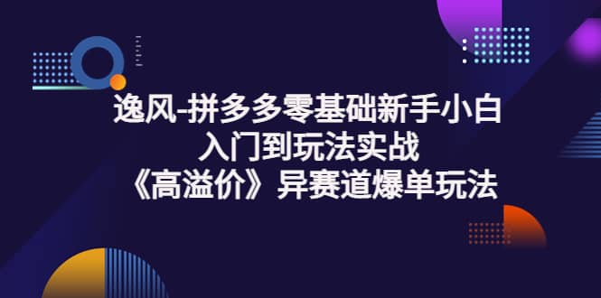 拼多多零基础新手小白入门到玩法实战《高溢价》异赛道爆单玩法实操课-自荐云信息速递