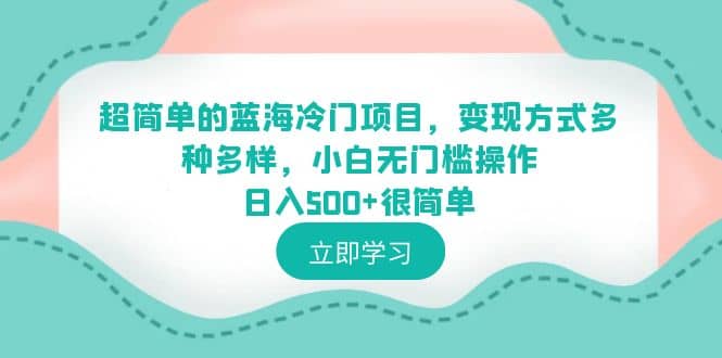 超简单的蓝海冷门项目，变现方式多种多样，小白无门槛操作日入500+很简单-自荐云信息速递