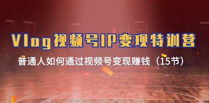 Vlog 视频号IP变现特训营，普通人如何通过视频号变现赚钱（15节）-自荐云信息速递