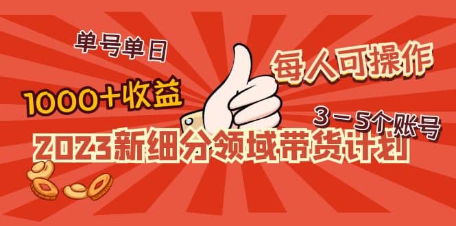 2023新细分领域带货计划：单号单日1000+收益不难，每人可操作3-5个账号-自荐云信息速递
