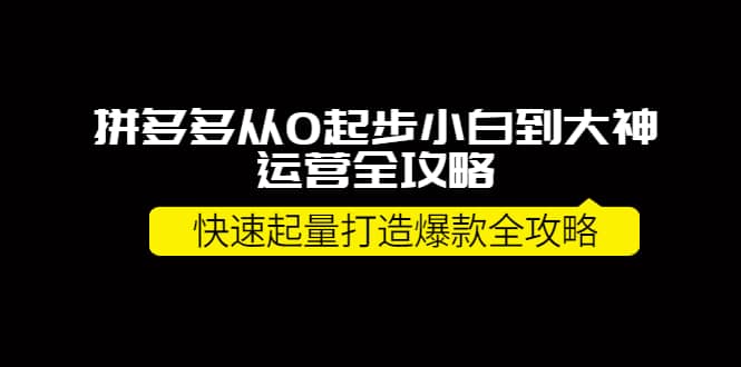 拼多多从0起步小白到大神运营全攻略-自荐云信息速递