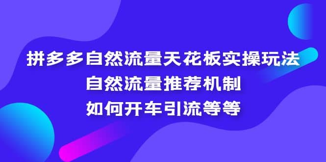 拼多多自然流量天花板实操玩法：自然流量推荐机制，如何开车引流等等-自荐云信息速递