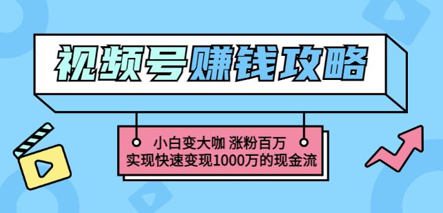 玩转微信视频号赚钱：小白变大咖涨粉百万实现快速变现1000万的现金流-自荐云信息速递