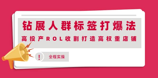 钻展人群标签打爆法,高投产ROL收割打造高权重店铺(全程实操)-自荐云信息速递