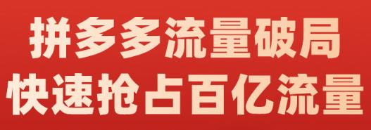 阿杰·拼多多流量破局:如何打黑标，爆款的思路，拼多多流量框架，快速抢占百亿流量-自荐云信息速递