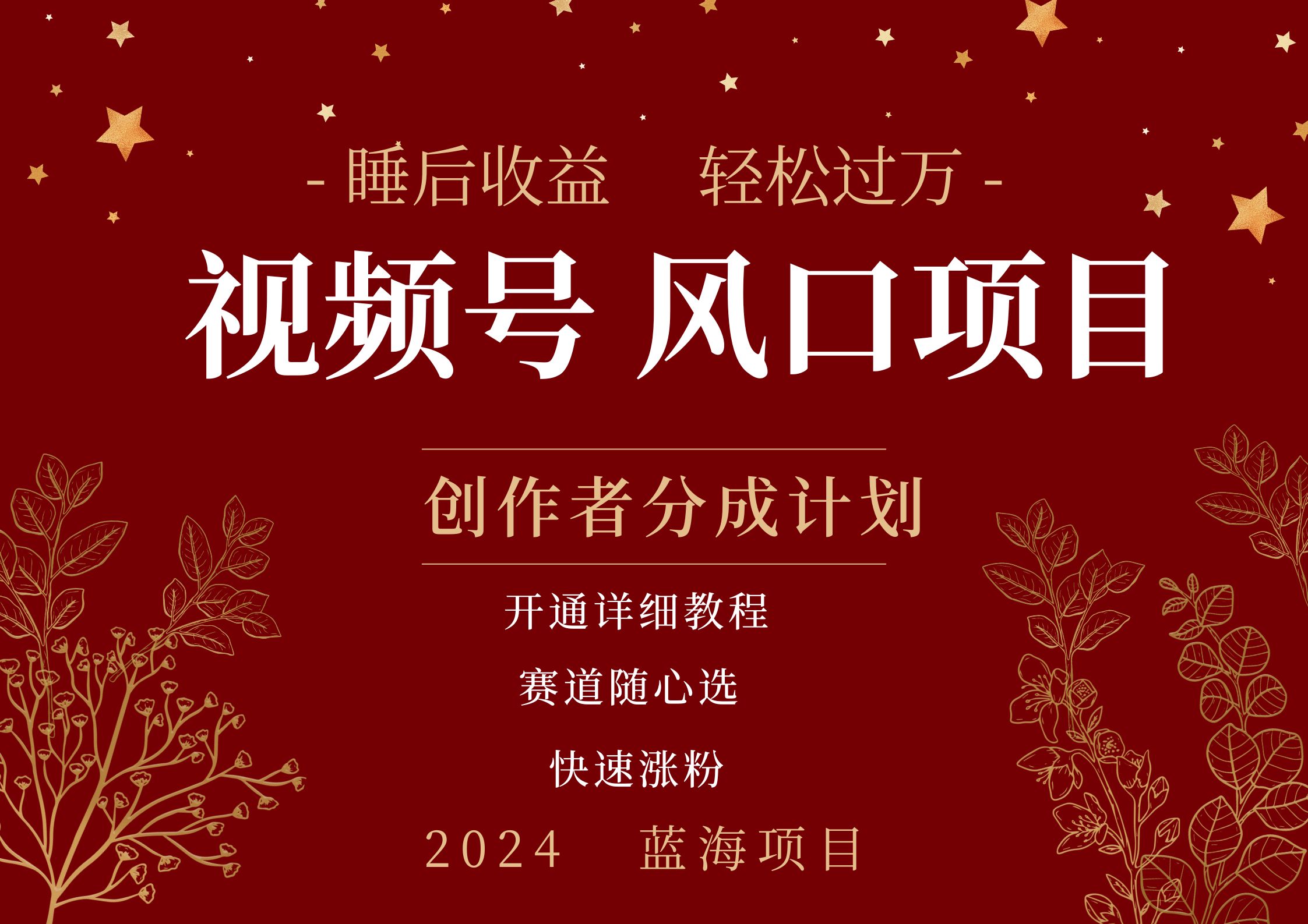 拥有睡眠收益的微信视频号大风口项目,轻松月入过万+,多赛道选择,可矩阵,玩法简单轻松上手-自荐云信息速递