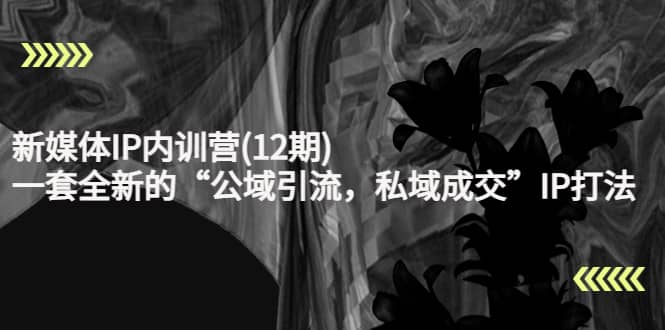 新媒体IP内训营(12期),一套全新的“公域引流,私域成交”IP打法,直接带走-自荐云信息速递