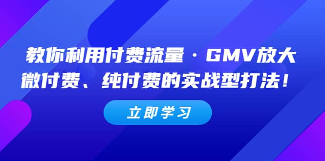 教你利用付费流量·GMV放大，微付费、纯付费的实战型打法-自荐云信息速递