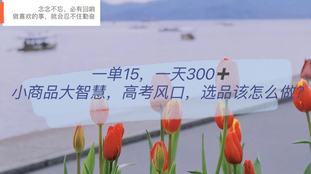 一单15，一天300+，小商品大智慧，高考风口，选品该怎么布局-自荐云信息速递