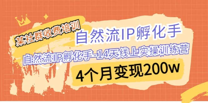 某社群收费培训：自然流IP 孵化手-14天线上实操训练营 4个月变现200w-自荐云信息速递