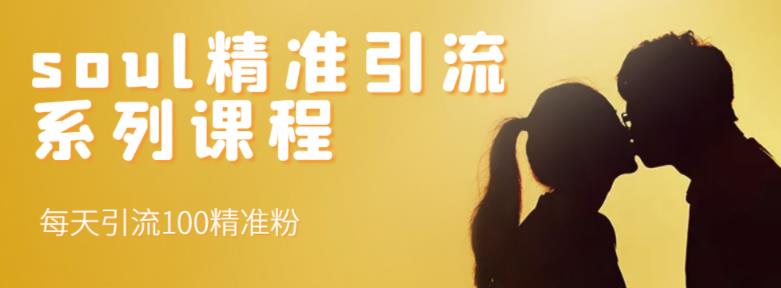 soul精准引流系列课程，每天引流100精准粉-自荐云信息速递