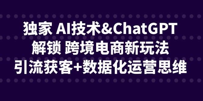 独家 AI技术ChatGPT解锁 跨境电商新玩法，引流获客+数据化运营思维-自荐云信息速递