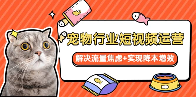 宠物/行业短视频运营 流量增长的一层窗户纸 解决流量焦虑+实现降本增效-自荐云信息速递