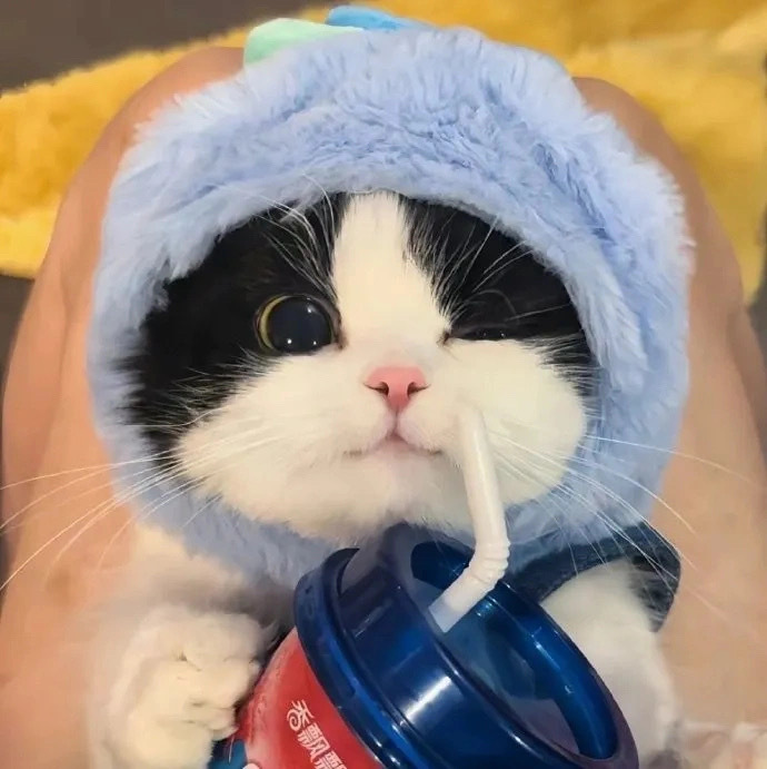 自荐云信息速递的头像-自荐云信息速递