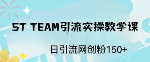 ST TEAM引流实操课，日引流网创粉100+-自荐云信息速递