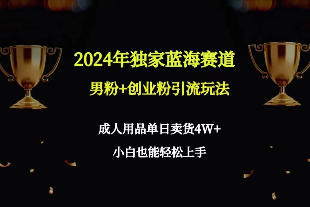 2024年独家蓝海赛道男粉+创业粉引流玩法，成人用品单日卖货4W+保姆教程-自荐云信息速递