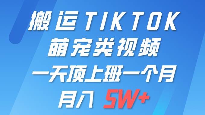 一键搬运TIKTOK萌宠类视频 一部手机即可操作 所有平台均可发布 轻松月入5W+-自荐云信息速递