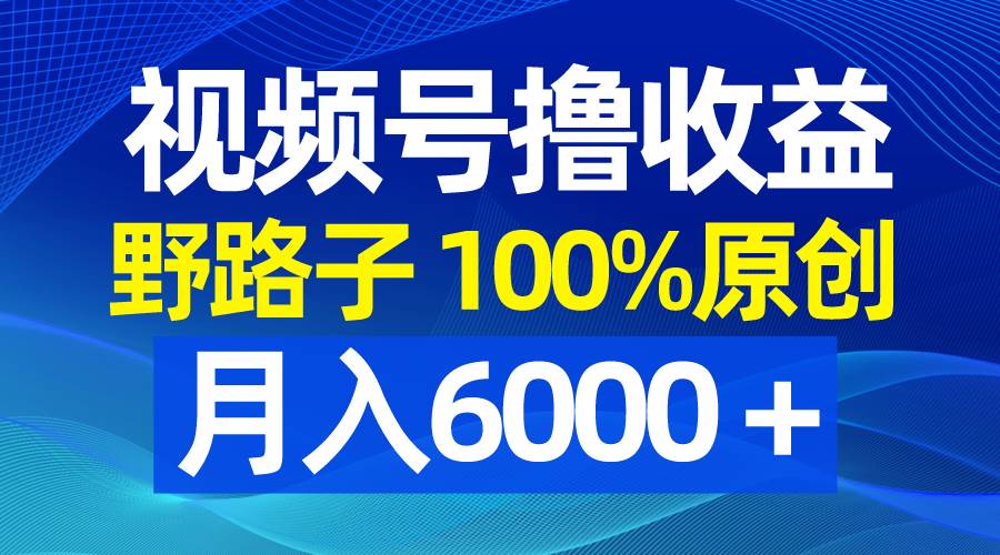视频号野路子撸收益，100%原创，条条爆款，月入6000＋-自荐云信息速递