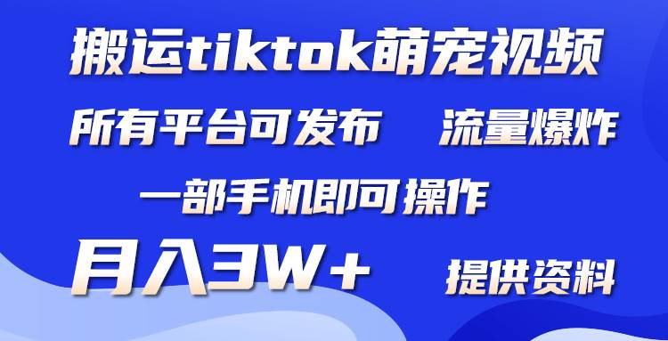 搬运Tiktok萌宠类视频，一部手机即可。所有短视频平台均可操作，月入3W+-自荐云信息速递