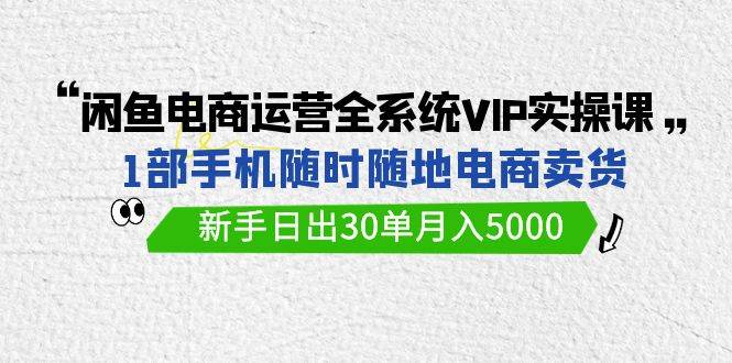 闲鱼电商运营全系统VIP实战课，1部手机随时随地卖货，新手日出30单月入5000-自荐云信息速递