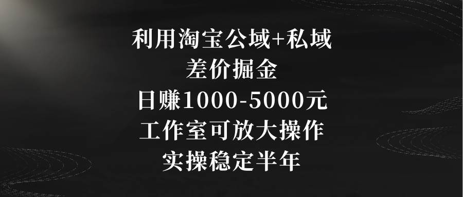 利用淘宝公域+私域差价掘金，日赚1000-5000元，工作室可放大操作，实操…-自荐云信息速递