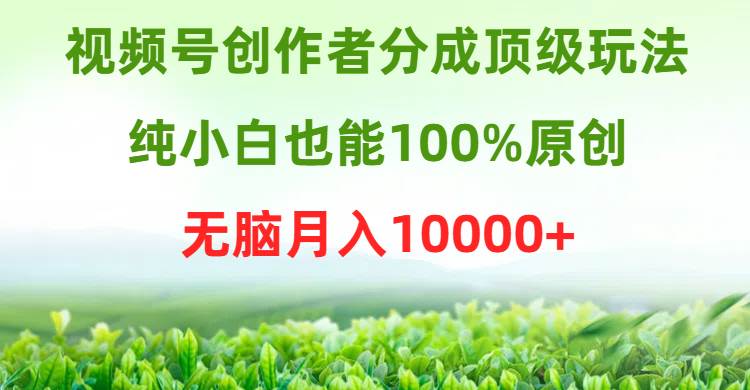 视频号创作者分成顶级玩法，纯小白也能100%原创，无脑月入10000+-自荐云信息速递