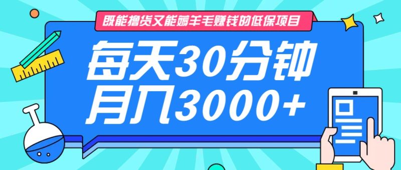 既能撸货又能赚钱的长期低保项目，每天30分钟，多号百分百稳定月入3000+！-自荐云信息速递