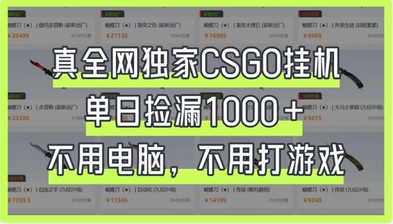 真全网独家CSGO挂机,单日捡漏1000+,不用电脑,不用养号-自荐云信息速递