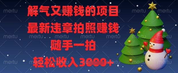 解气又挣钱的项目，最新违章拍照挣钱，随手一拍，轻松收入数张【揭秘】-自荐云信息速递