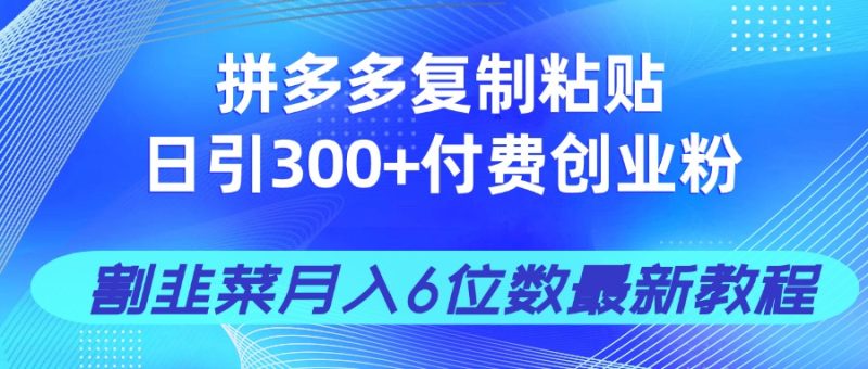 拼多多复制粘贴日引300+付费创业粉，割韭菜月入6位数最新教程！-自荐云信息速递