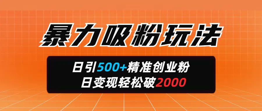暴力吸粉玩法，日引500+精准创业粉，日变现轻松破2000-自荐云信息速递