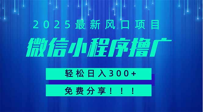 微信小程序撸广，最新风口项目，日入300+ 免费分享 可批量操作 小白可…-自荐云信息速递