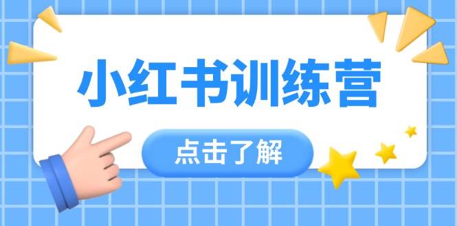 小红书训练营,助小白入门,掌握技巧变达人,课程实操又全面(12节课)-自荐云信息速递