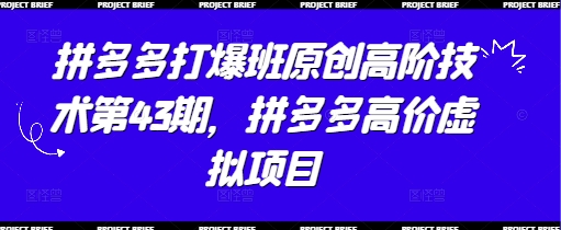 拼多多打爆班原创高阶技术第43期，拼多多高价虚拟项目-自荐云信息速递
